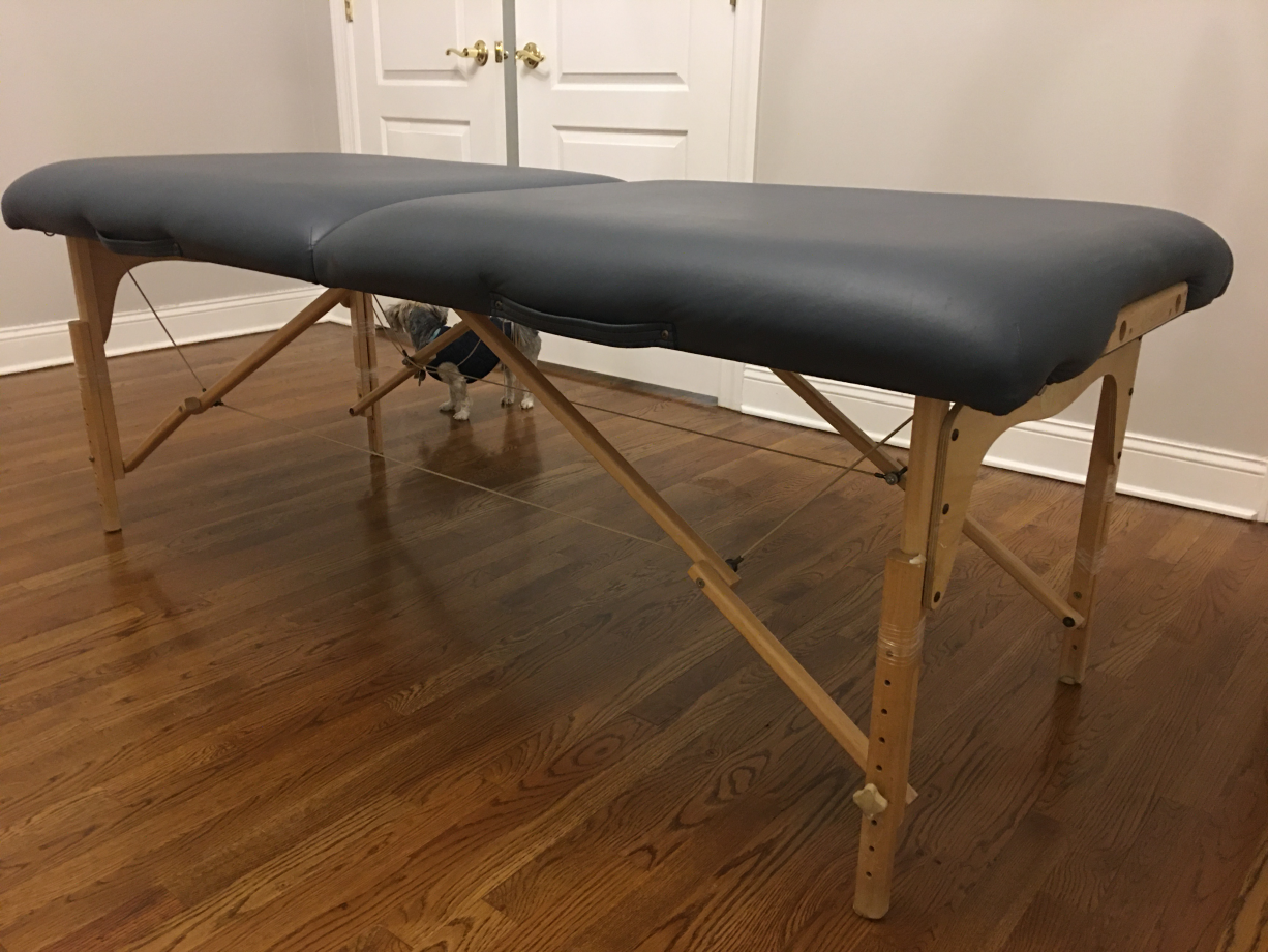 Earthlite spirit portable massage table 팝니다