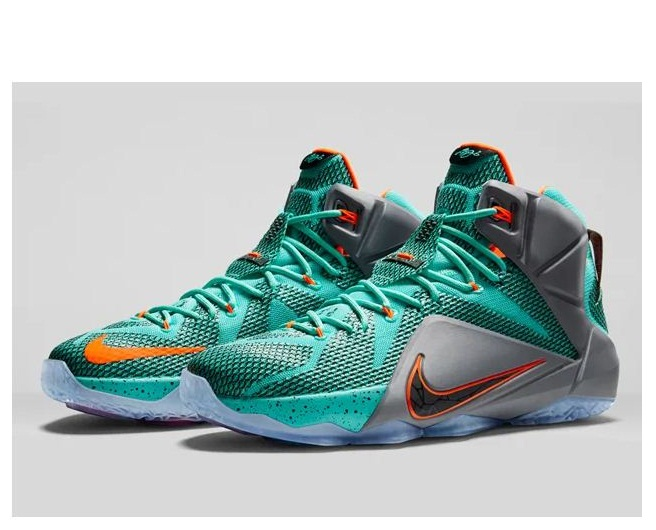 (New) 농구화 Nike Lebron James XII 사이즈 9.5 in Bergen County, NJ