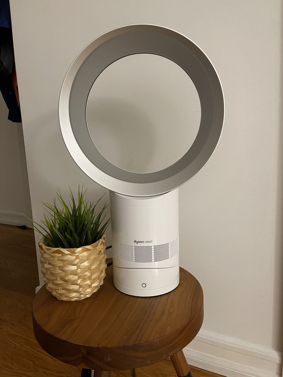 Dyson cool am06